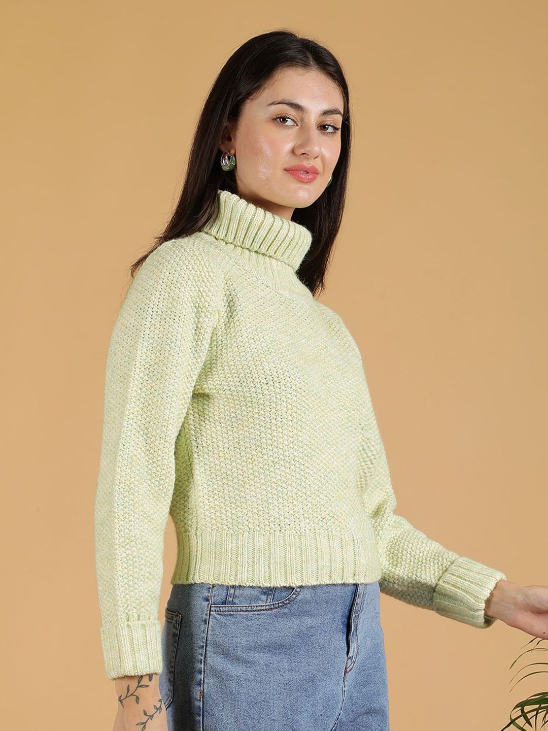 Kotty Women Self Design Turtle Neck Pullover Sweater 