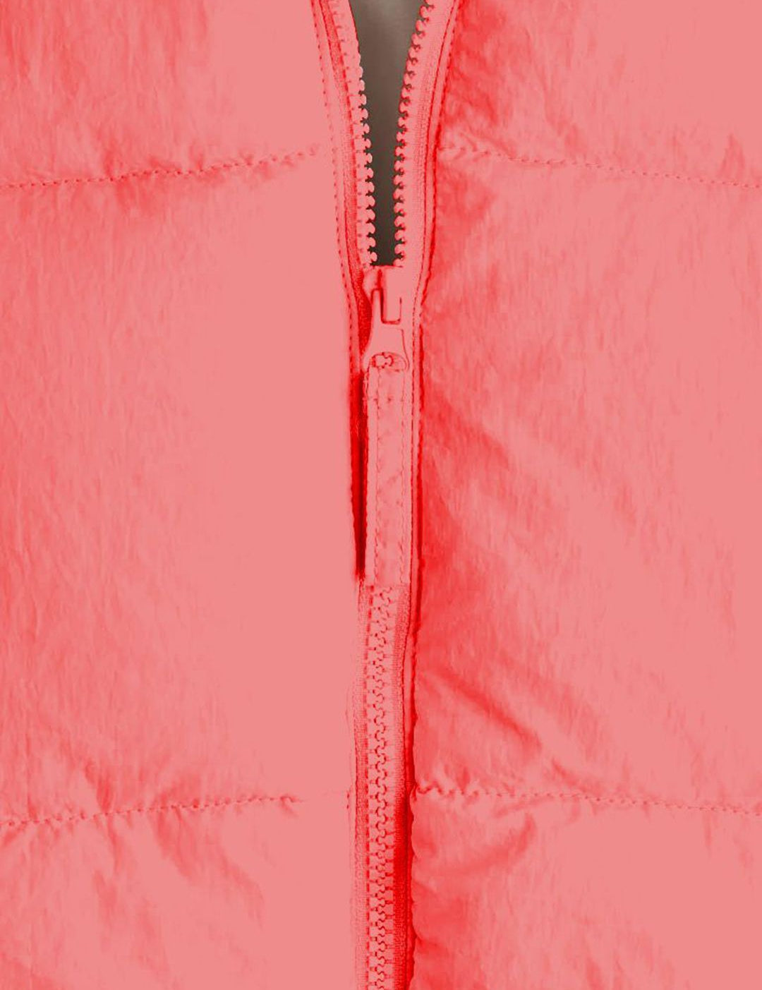 Kotty Women Insulator Crop Puffer Jacket