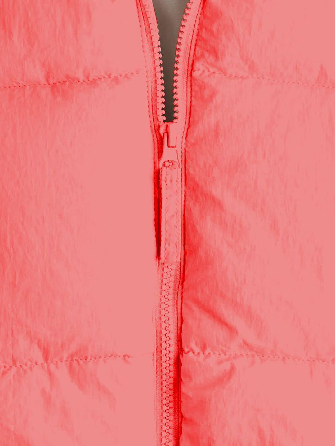 Kotty Women Insulator Crop Puffer Jacket