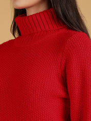 Kotty Women Turtle Neck Crop Pullover Sweater