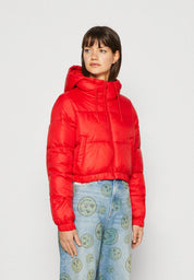 KOTTY Full Sleeve Solid Women Jacket 