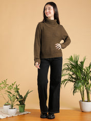 KOTTY Woven Collared Neck Casual Women Brown Sweater 