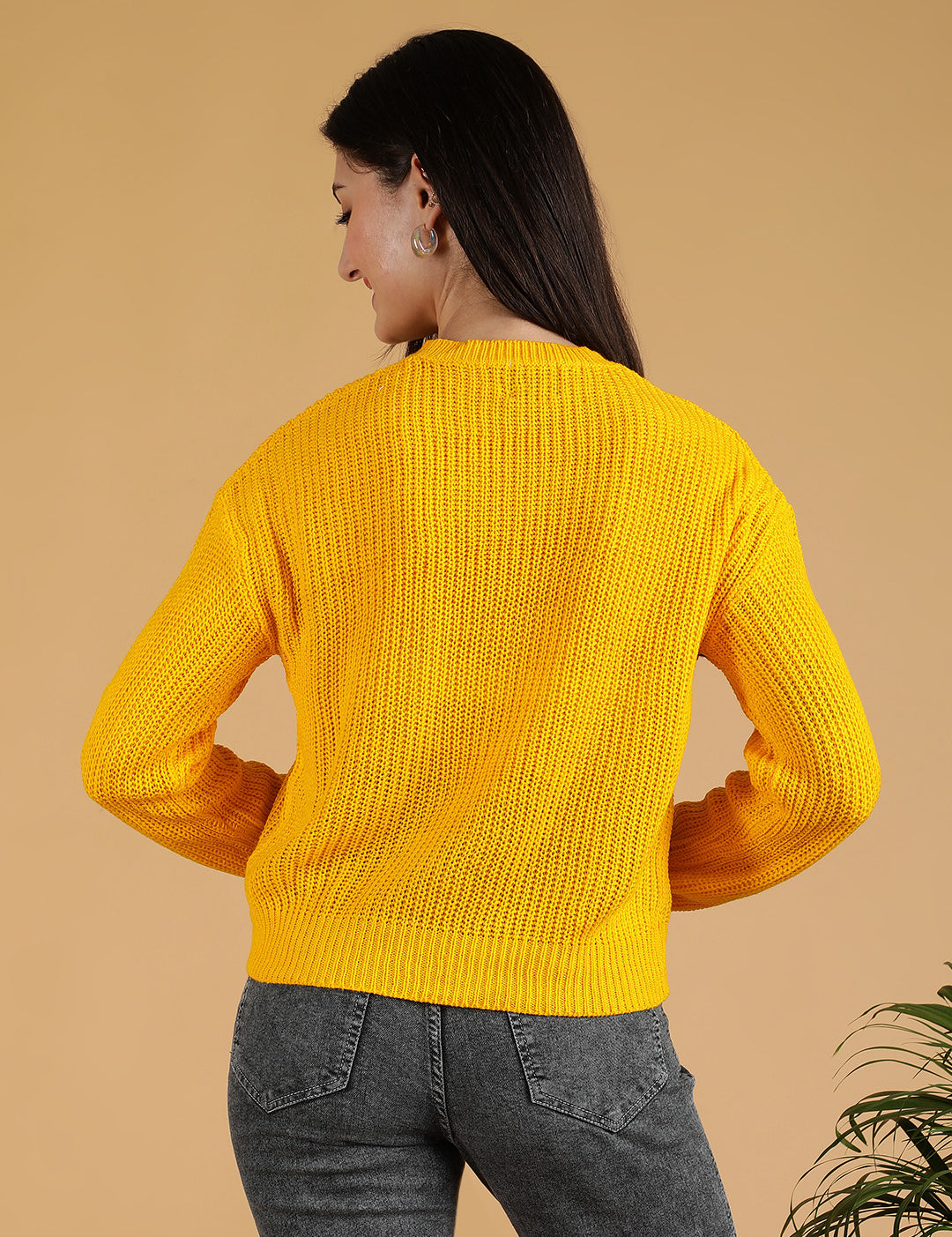KOTTY Colorblock Round Neck Casual Women Brown Sweater 